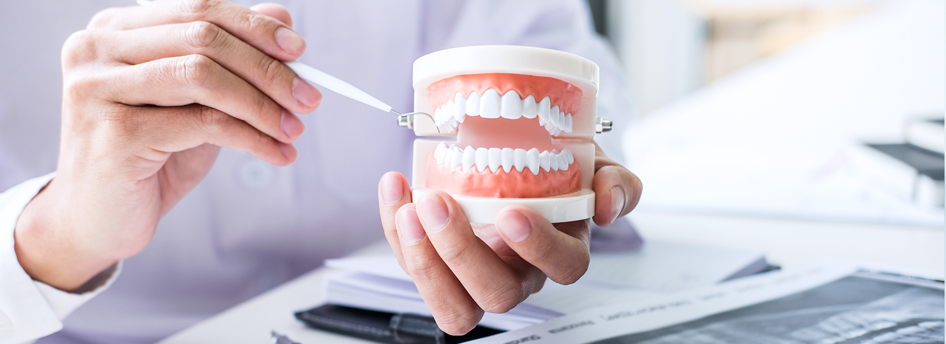The image shows a person s hand holding a tooth model with a magnified view of its teeth structure, while another hand holds a pen over a document on a desk, suggesting a dental or oral care context.